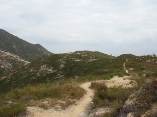 19.jpg