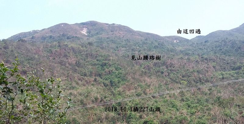 20181001_111548.jpg