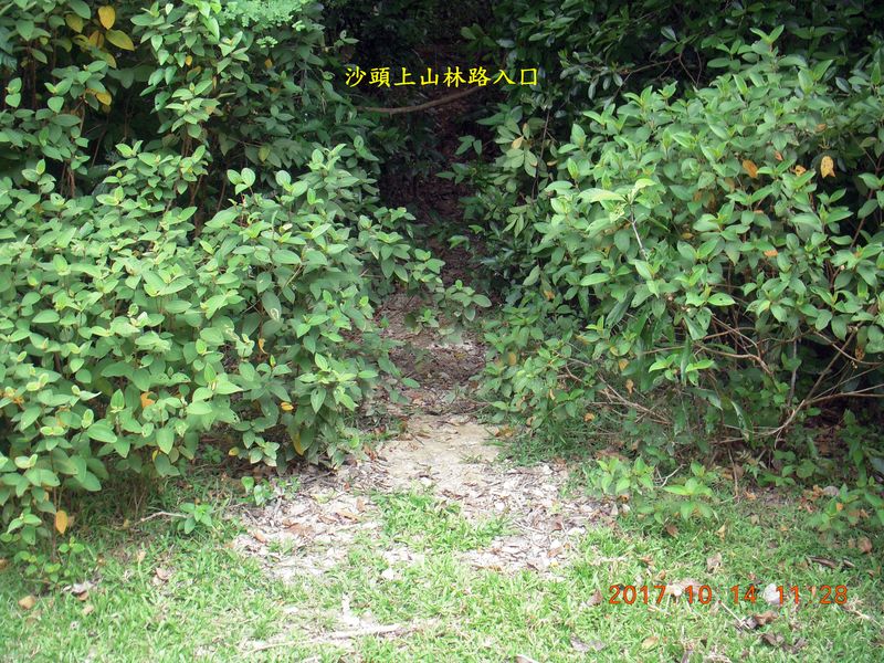 DSCN3991.JPG