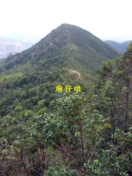 20181209_113512.jpg
