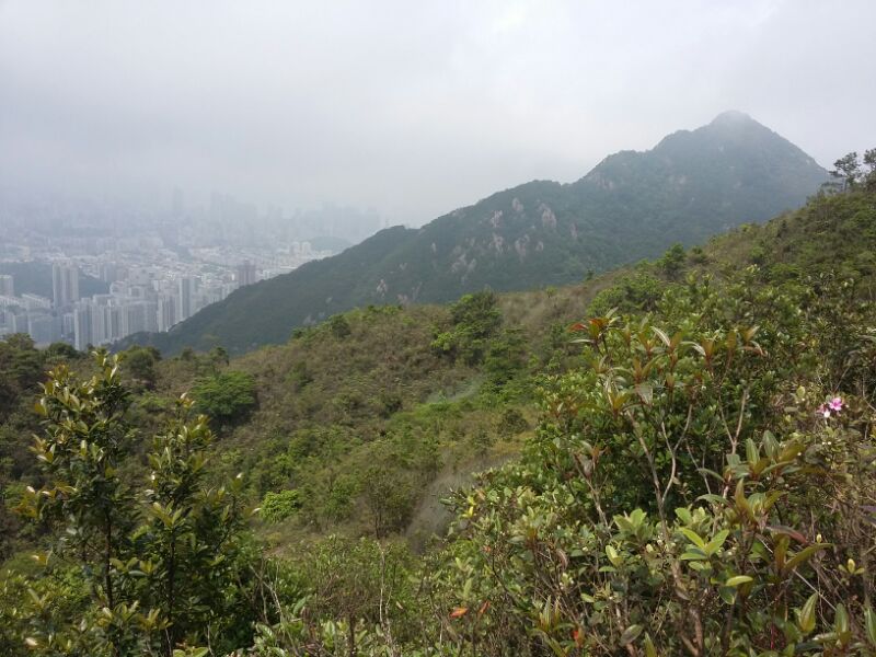IMG_20190428_57431.jpg