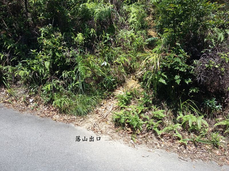 20180915_134221.jpg