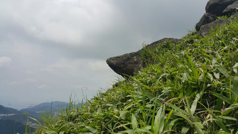 IMG_20190701_50411.jpg