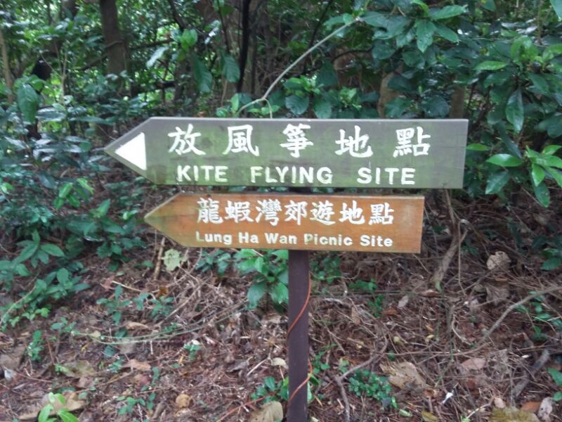 IMG_20190915_5926.jpg