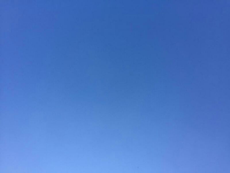 IMG_20191209_48698.jpg