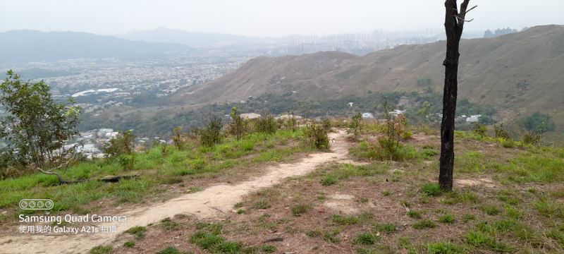 IMG_20210327_17113.jpg