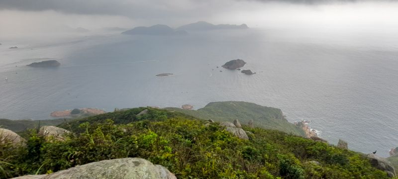 IMG_20210628_4451.jpg