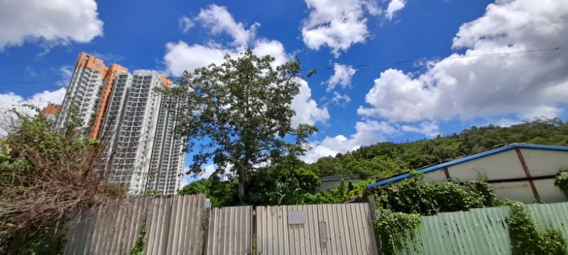 IMG_20210712_49654.jpg