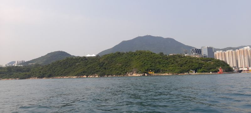 IMG_20210727_56828.jpg