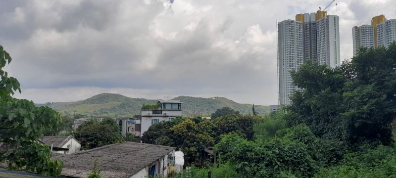 IMG_20210808_5918.jpg