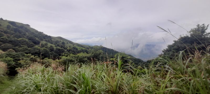 IMG_20210816_16557.jpg