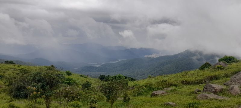 IMG_20210816_19185.jpg