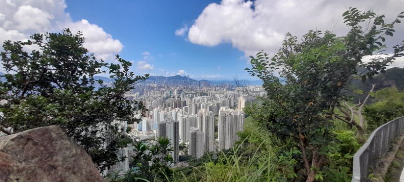 IMG_20210827_42373.jpg