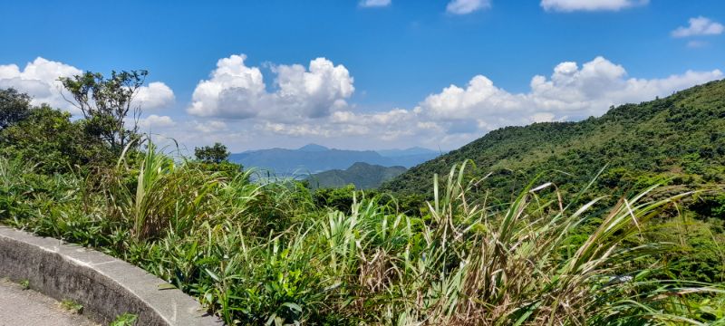 IMG_20210827_44902.jpg