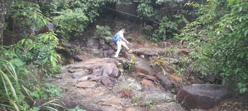 IMG_20210905_53513.jpg