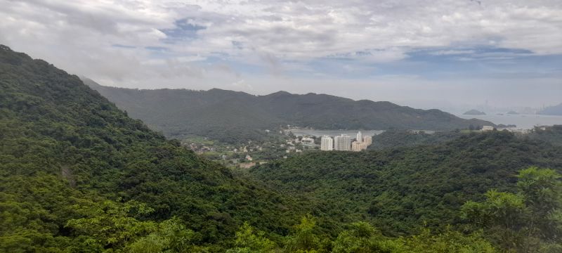 IMG_20210905_55760.jpg