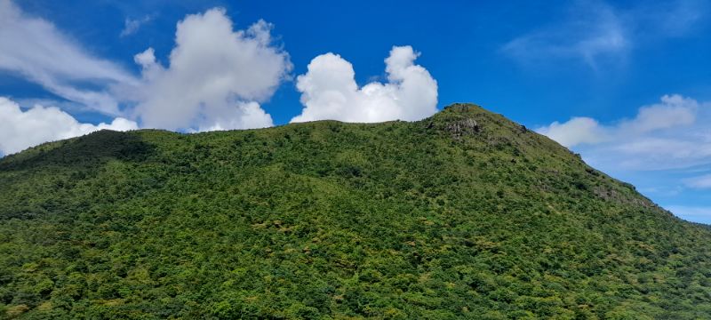 IMG_20210909_11184.jpg