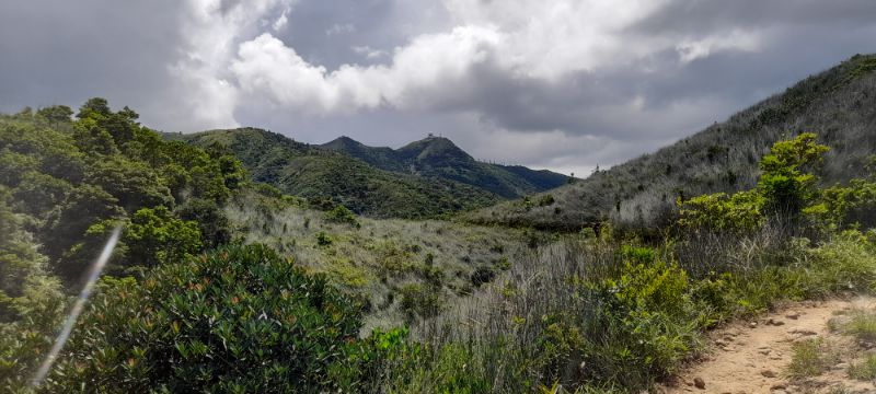 IMG_20210909_12482.jpg