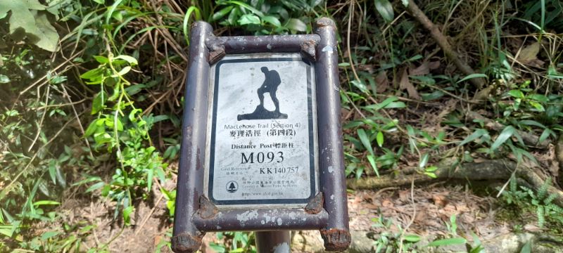 IMG_20210909_12795.jpg