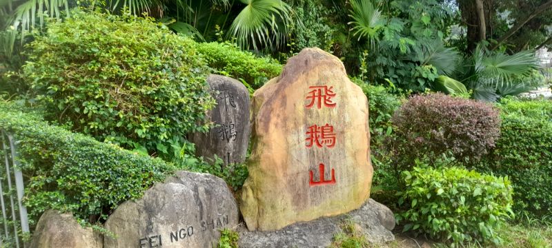 IMG_20210909_13573.jpg