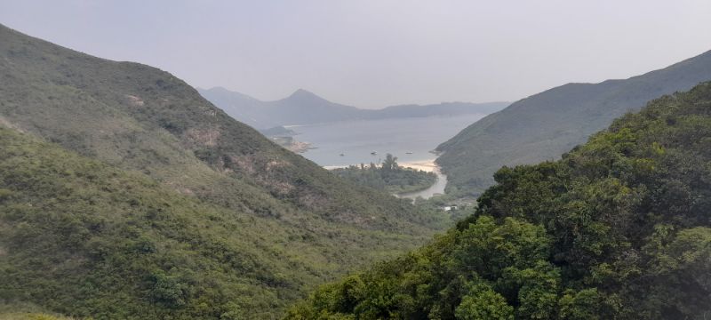 IMG_20210912_44749.jpg