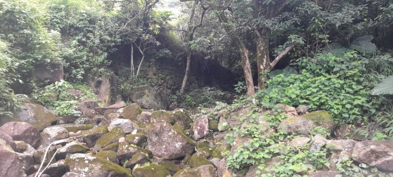 IMG_20210919_32441.jpg