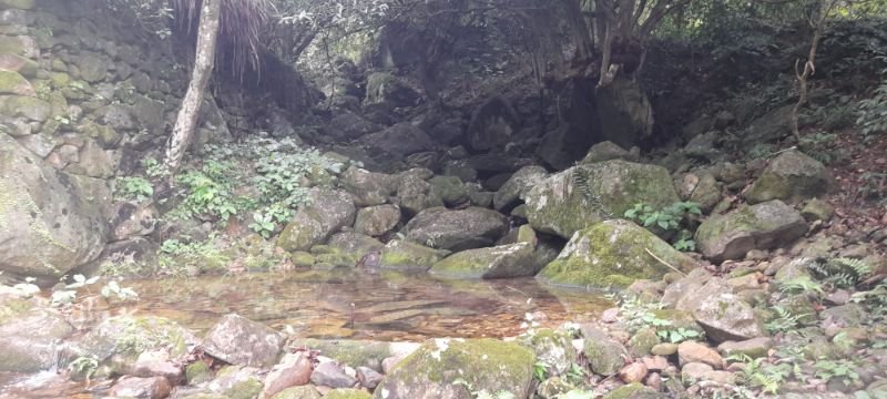 IMG_20210919_32992.jpg