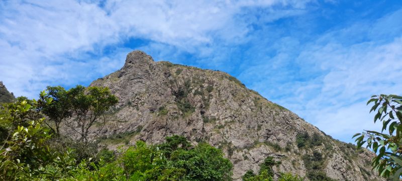 IMG_20211024_19154.jpg