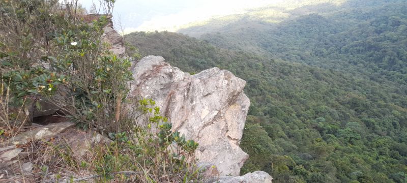 IMG_20211110_20546.jpg