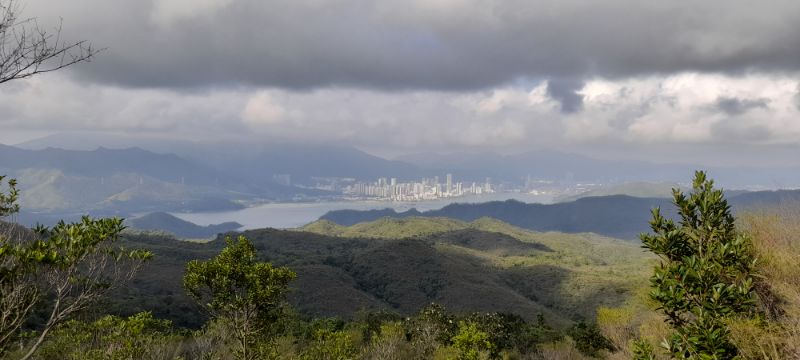 IMG_20211110_18599.jpg