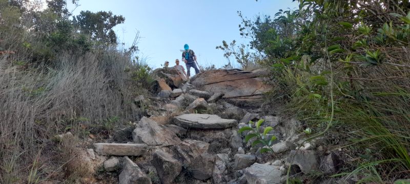 IMG_20211110_17611.jpg