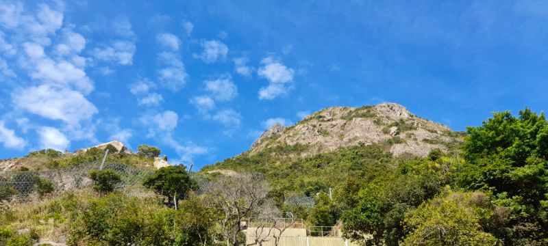 IMG_20211204_22145.jpg