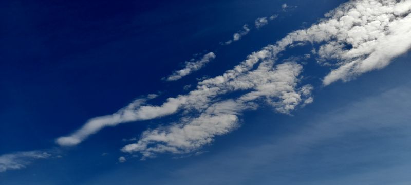 IMG_20211204_22597.jpg