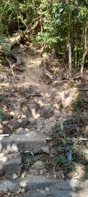 IMG_20211204_2360.jpg