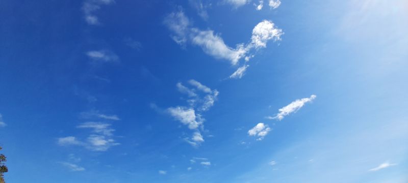 IMG_20211204_24605.jpg