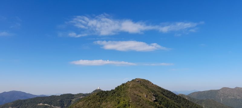 IMG_20211204_29392.jpg