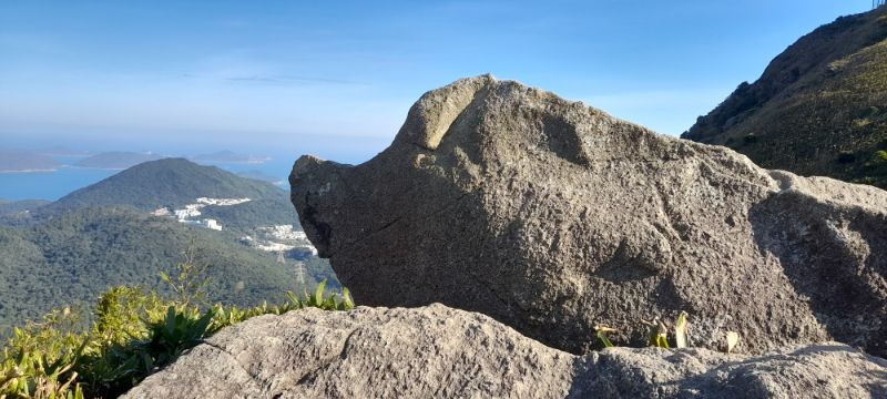 IMG_20211204_29862.jpg
