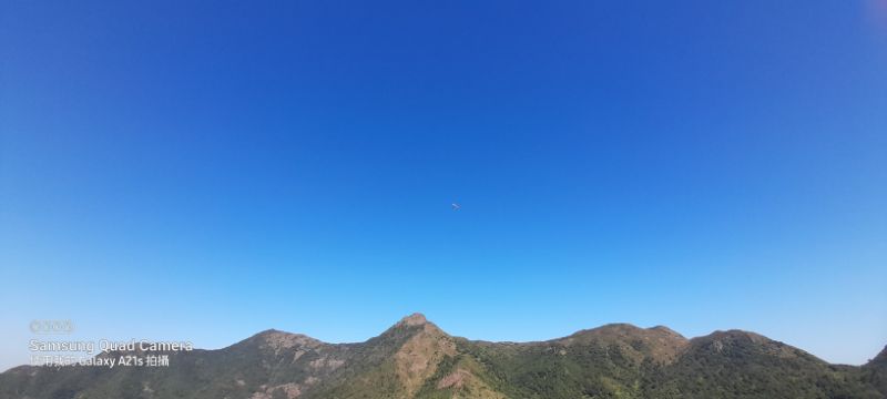 IMG_20211205_14683.jpg