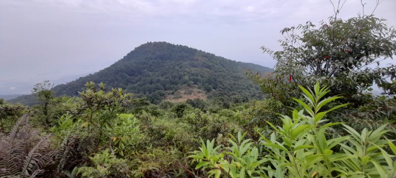 IMG_20220101_54826.jpg