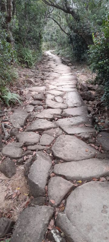 IMG_20220101_56669.jpg