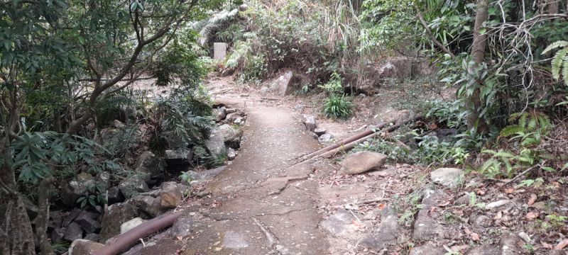IMG_20220101_58495.jpg