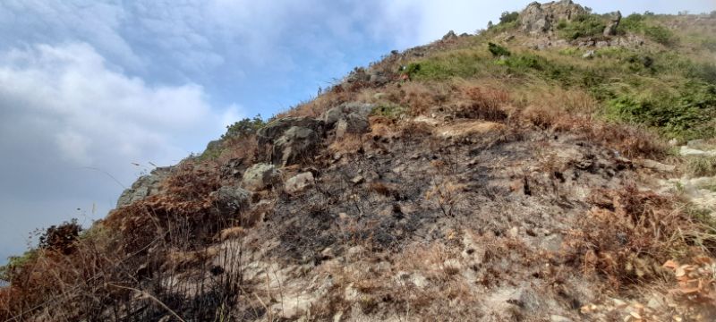 IMG_20220109_56702.jpg