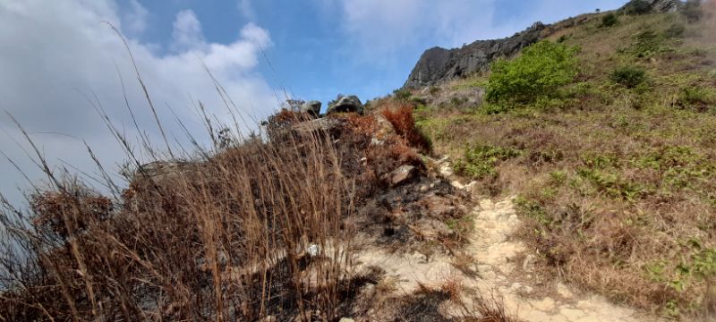 IMG_20220109_57864.jpg
