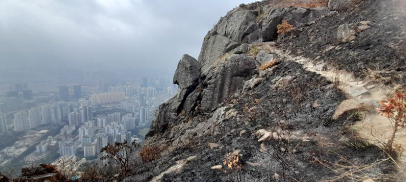 IMG_20220109_59399.jpg