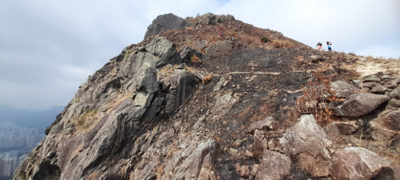 IMG_20220109_59878.jpg