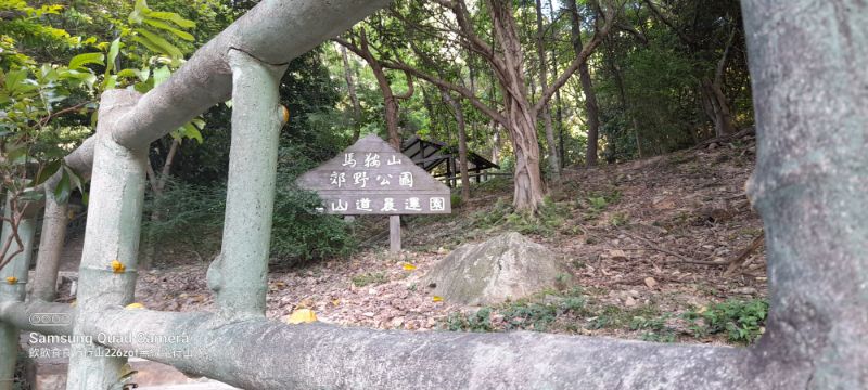 IMG_20220410_18575.jpg