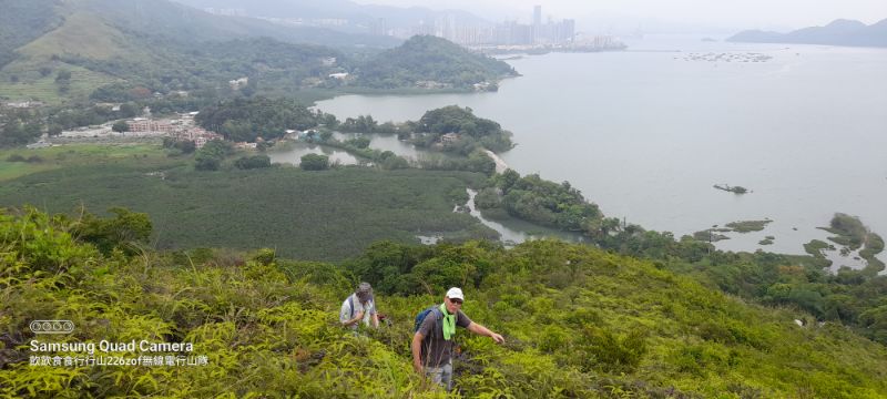 IMG_20220418_18514.jpg
