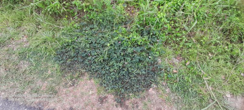 IMG_20220418_2636.jpg