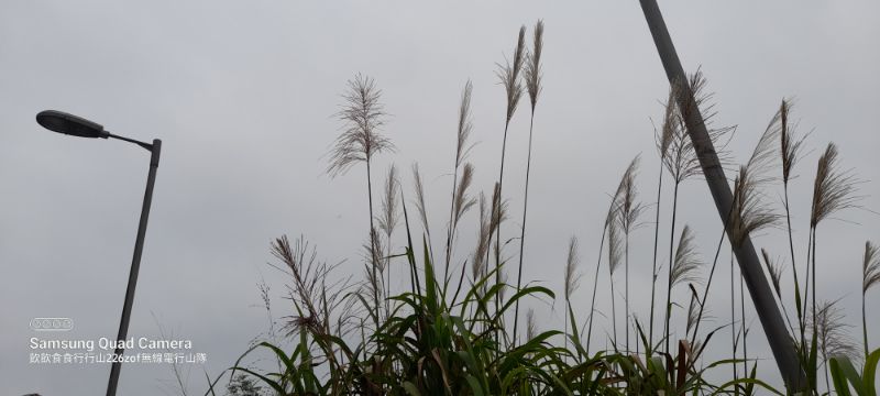 IMG_20220421_0416.jpg