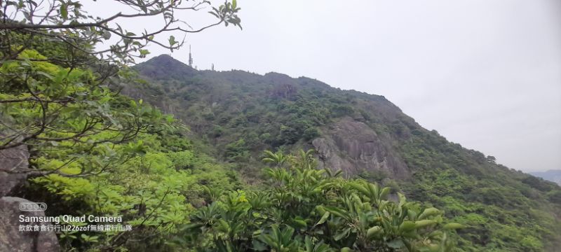 IMG_20220421_7650.jpg